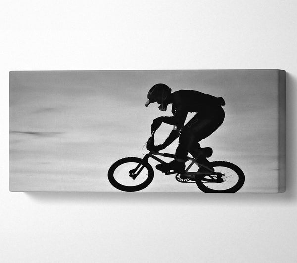 BMX Sprung B n W