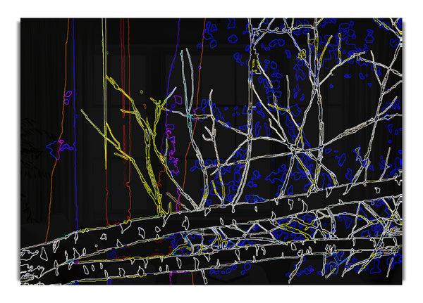 Tree Sketch 02