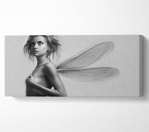 Exotic Fairy Wings B n W