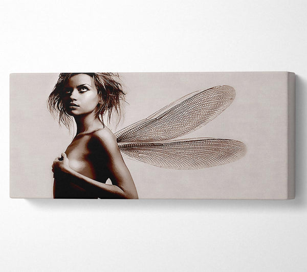 Exotic Fairy Wings Chocolate