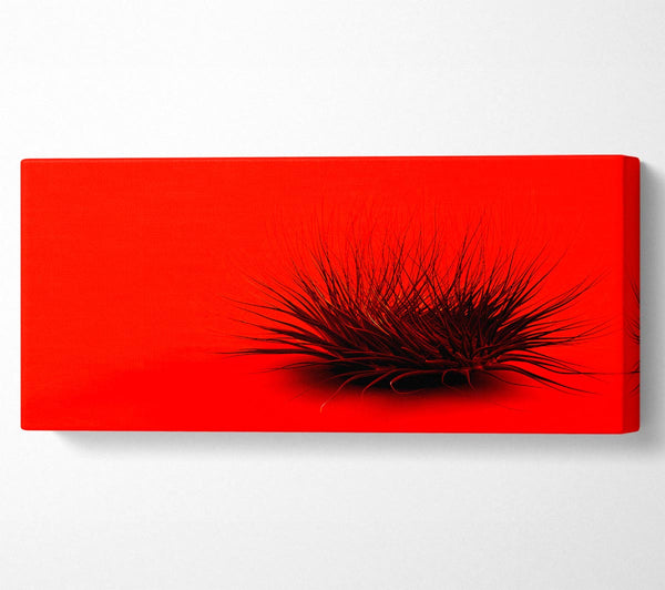Das kleine rote Ding
