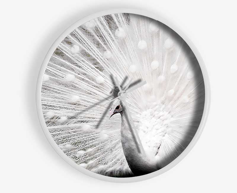 White Peacock Clock - Wallart-Direct UK