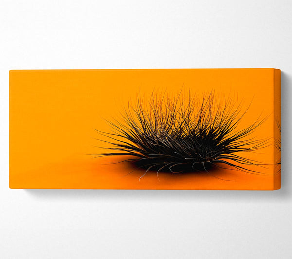 Das orange Ding