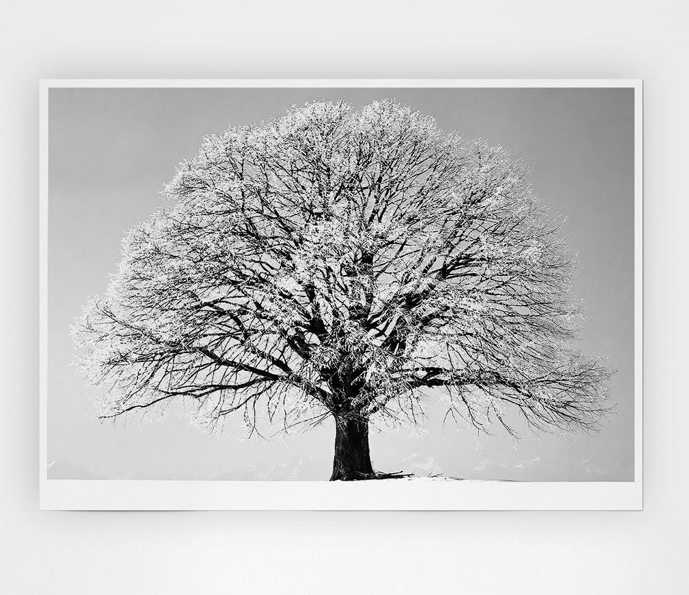 Winter Snow Tree B N W Print Poster Wall Art
