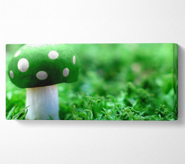 Green Mushroom