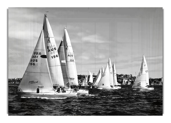 Segelboot-Traum B~w