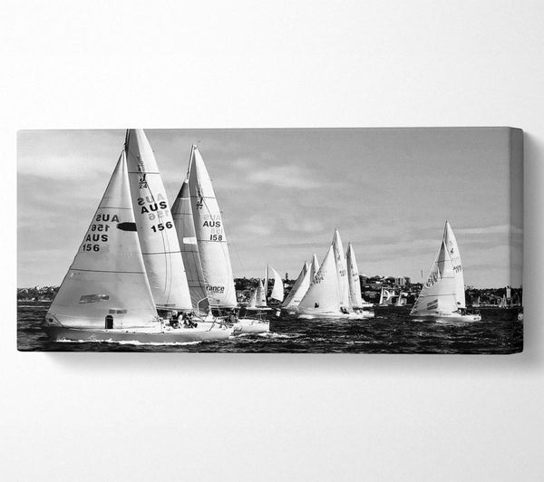 Segelboot Dream B n W