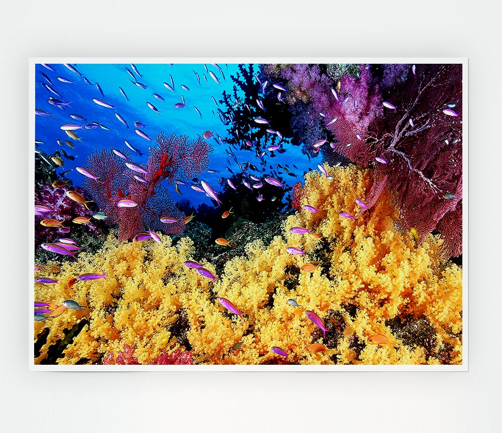 The Oceans Colour Print Poster Wall Art