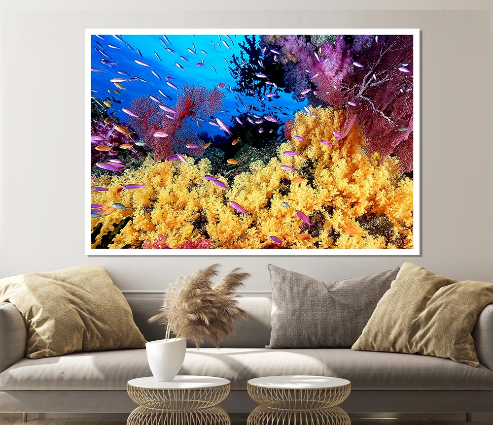 The Oceans Colour Print Poster Wall Art