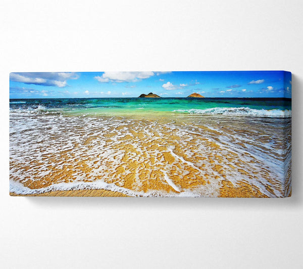 Ocean Paradise