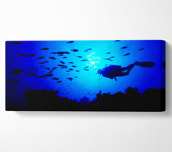 Divers City