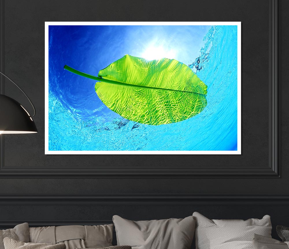Blue Waters Of A Green Leaf Print Poster Wall Art
