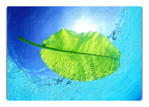 Blue Waters Of A Green Leaf