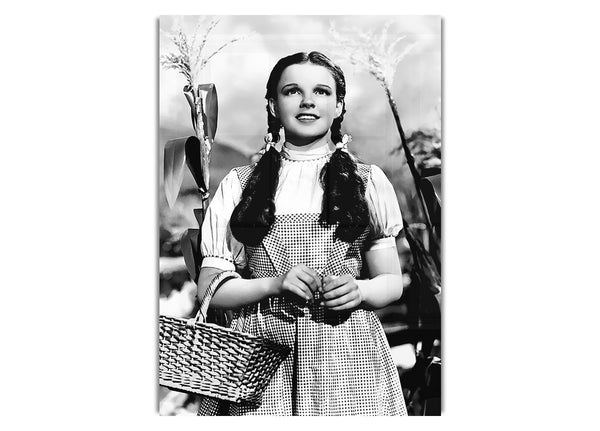 Wizard Of Oz Dorothy