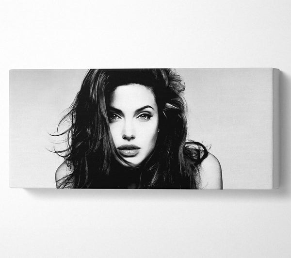 Angelina Jolie - Sexy Blick