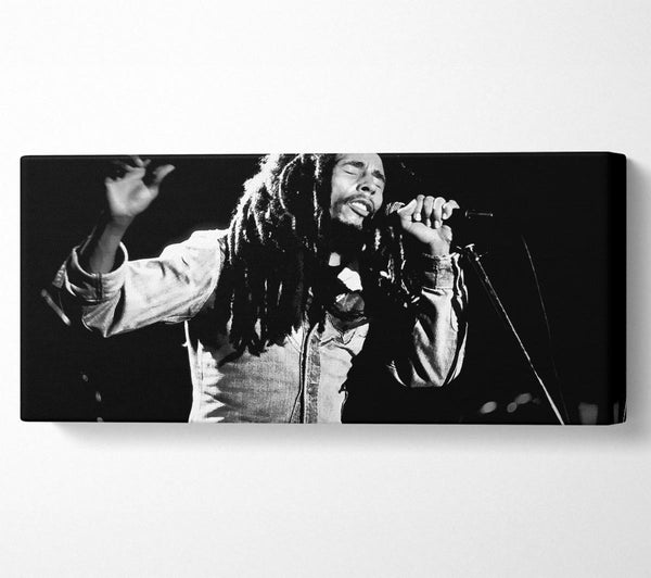 Bob Marley singt auf der Bühne B n W