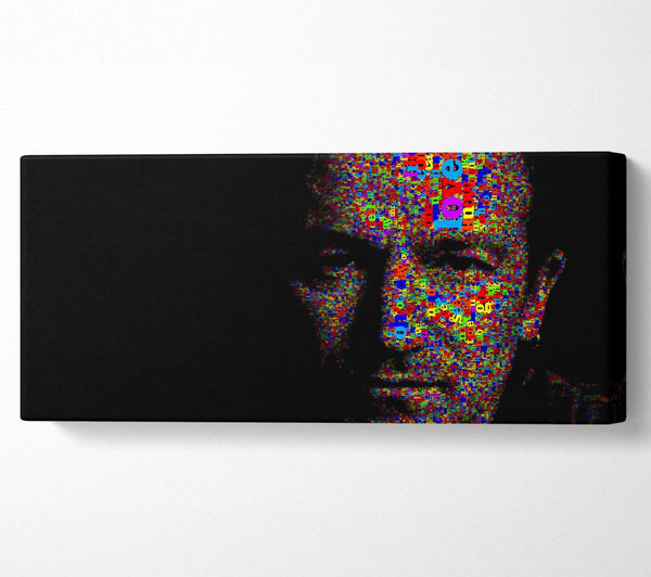 Bono In Farbe