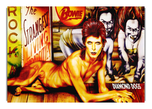 David Bowie Diamanthunde