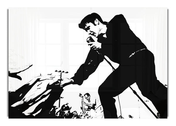 Elvis Presley On Stage