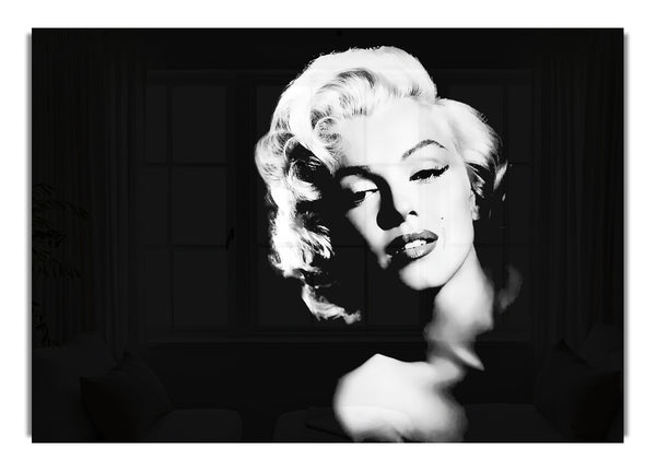 Marilyn Monroe The Look
