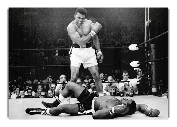Muhammad Ali Knockout