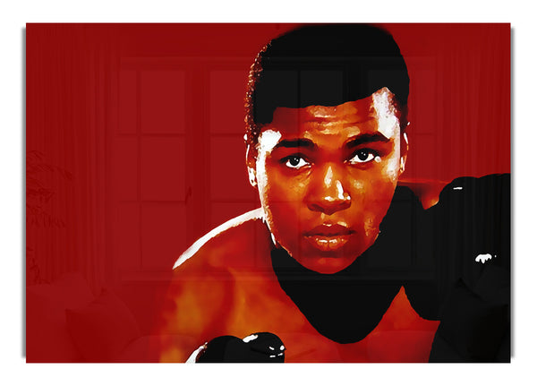 Muhammad Ali Red