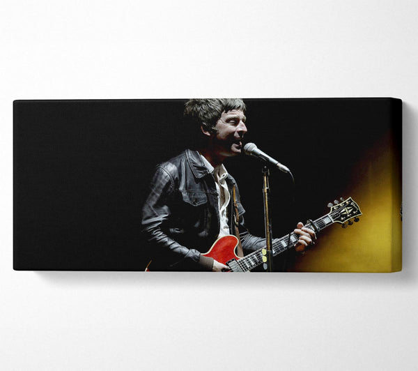 Noel Gallagher On Stage