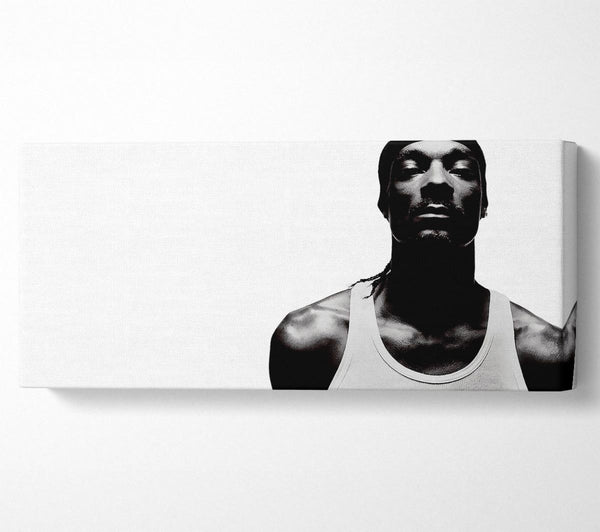Snoop Dogg Musik