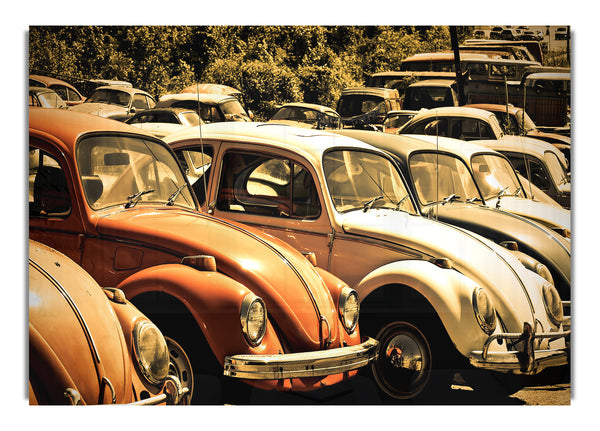 Old Volkswagen Beetle Junkyard
