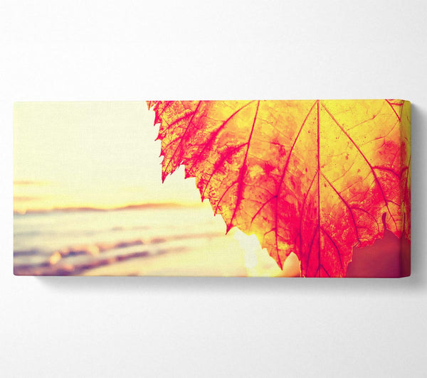 Rostfarbenes Blatt