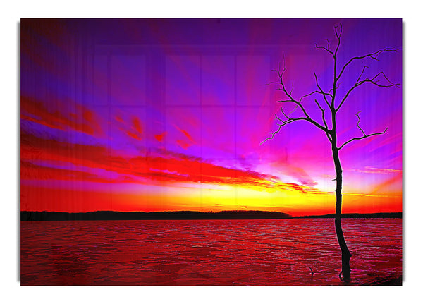 Sonnenuntergang Baum 2