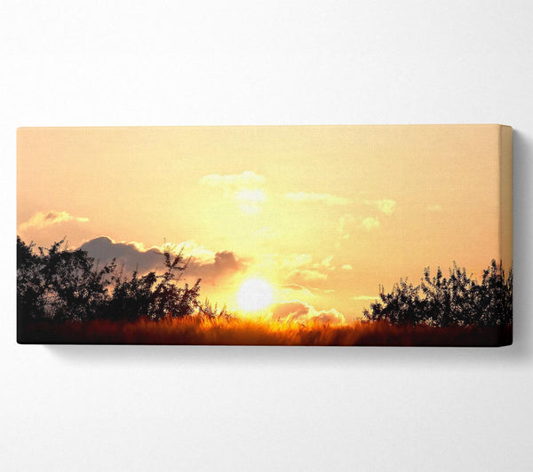 Golden Wheat Field At Sunset