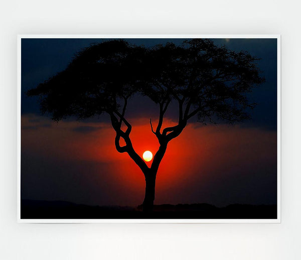 Beautiful Red Sunset Between The Tree Print Poster Wall Art
