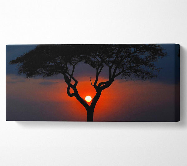 Schöner roter Sonnenuntergang zwischen den Bäumen