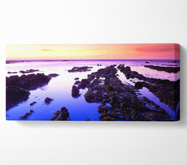 Fitzgerald Low Tide