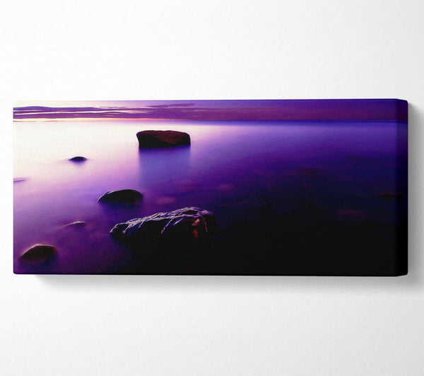 Foggy Purple Shore At Sunset