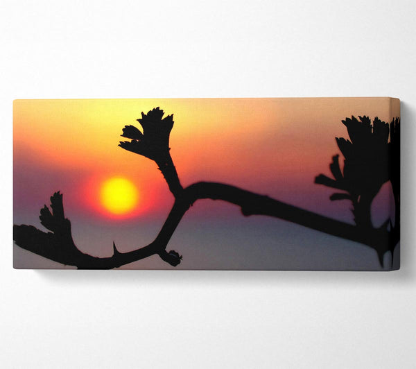 Embrace The Sun