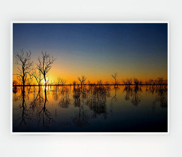 Beautiful Reflections Of The Winter Trees Print Poster Wall Art