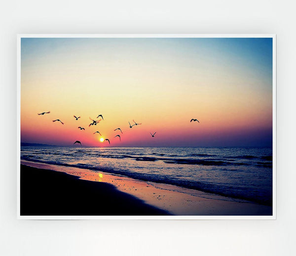 Birds In Paradise Print Poster Wall Art