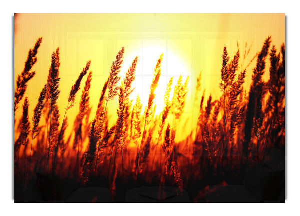 Schöner Sonnenaufgang