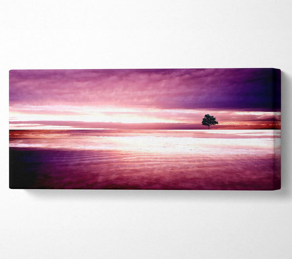 Purple Nature