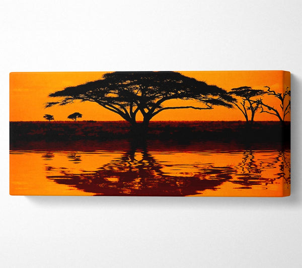 Afrikanische Baumreflexion