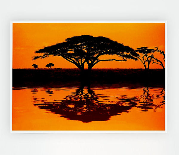 African Tree Reflection Print Poster Wall Art