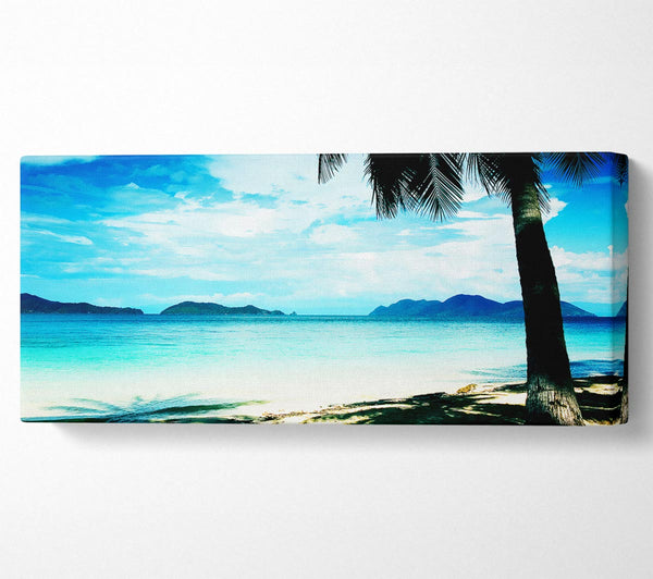 Glistering Ocean Beauty