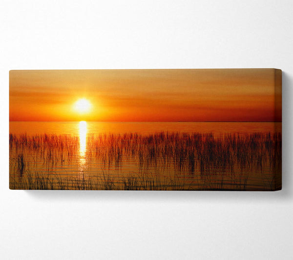 Sunset Over The Oceans Reeds