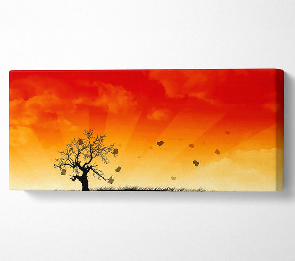 Sonnenbrandbaum