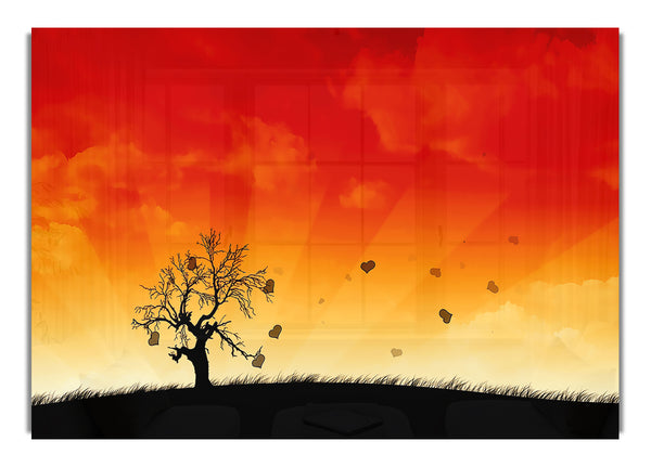 Sonnenbrandbaum