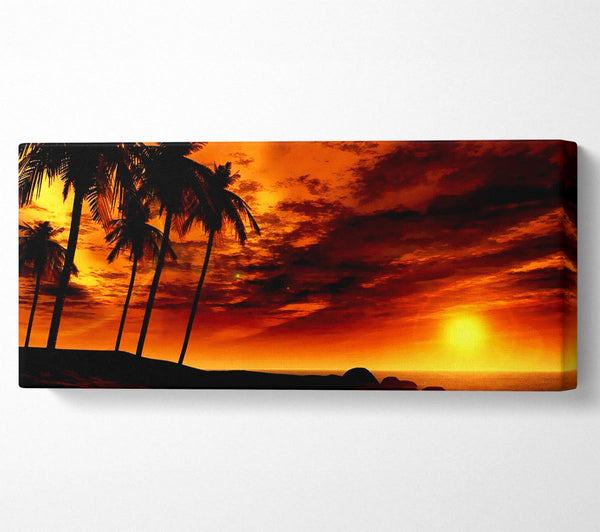 Golden Palm Tree Skies