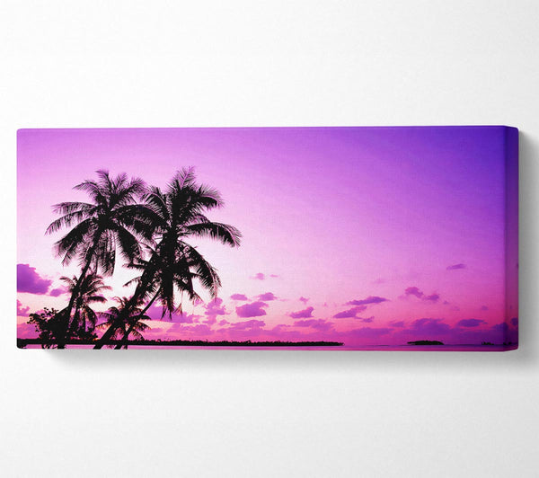 Pink Palm Tree Ocean