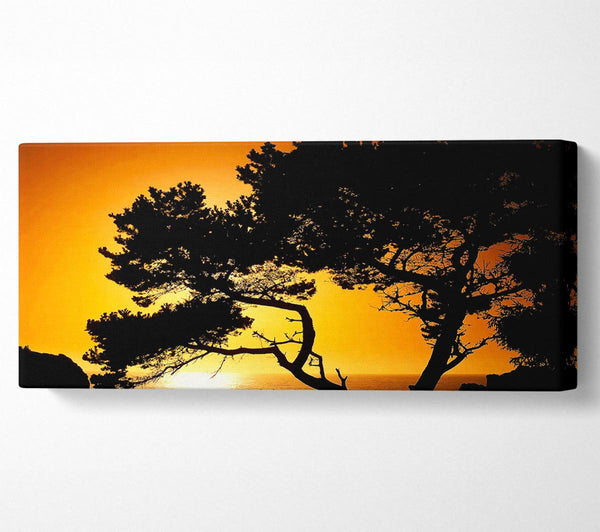 Fallen Ocean Sun